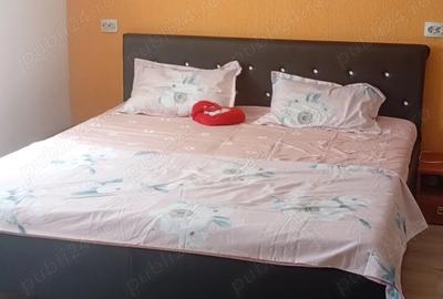 De vanzare proprietate spa?ioasa 2 case + curte generoasa - 6