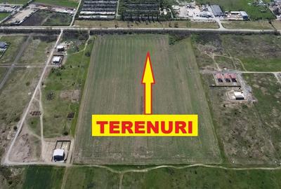 Mosnita Noua - teren pentru constructie 6apartamente - toate utilitatile - 2