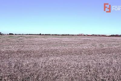 COMISION 0% Teren extravilan 40.000 mp - zona Sanandrei - 4