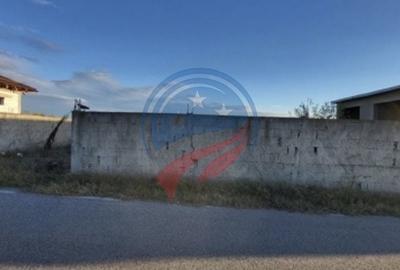 Hala Depozit si curte Malu Mare - 7