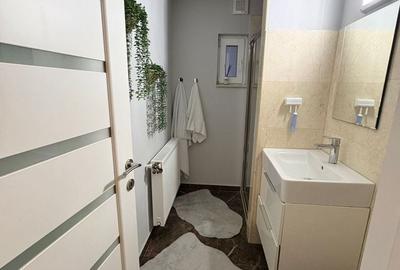 Apartament cu 2 camere semidecomandat în Băleasa - 5