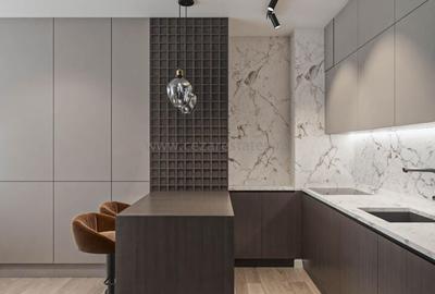 BANEASA  STEJARII THE IVY APARTAMENT 3 CAMERE GRADINA 63MP - 4