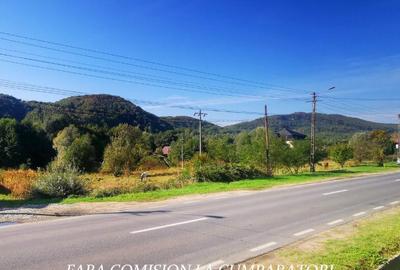 VLADESTI - TEREN 800 MP, DESCHIDERE LA DN - 1