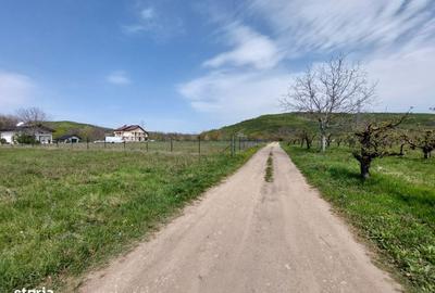 Spațiu comercial, în Viforâta - 4