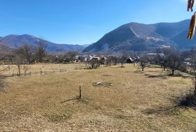 Spațiu comercial, în Lupșa - 6