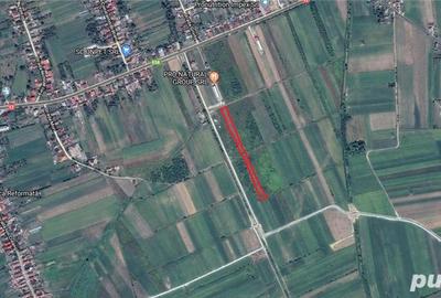 Teren de 5900 mp, în Cuzdrioara - 1