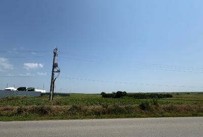 Teren extravilan, Singureni, Giurgiu - 3