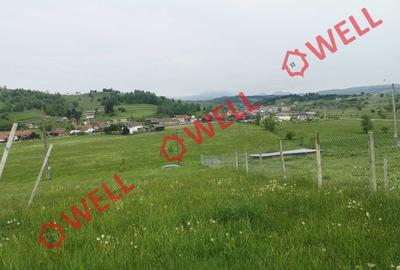 De vânzare teren intravilan în Barcani, pe strada Bisericii! - 4