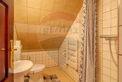 VILA SCANDINAVIA / Pensiune / Moieciu de Sus - 23