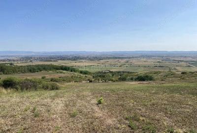 Teren extravilan de vanzare in Tileagd - 3166 mp cu panorama superba - 5