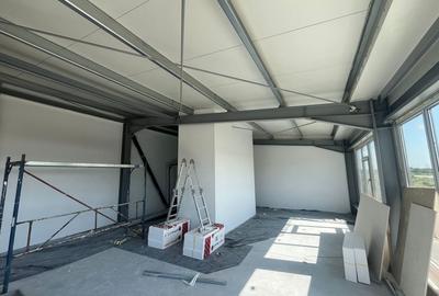 Zona Drumul intre Tarlale - hale noi - 600mp - 4