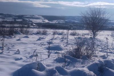 Teren de 500 mp, în Pestișu Mic - 1