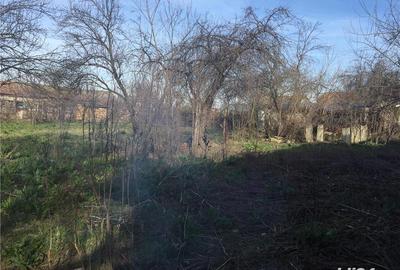 Casă cu 3 camere cu Teren 1200 Mp în Bobu - 3