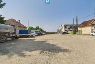 Spațiu industrial, de 6,179 mp, în Orțișoara - 7