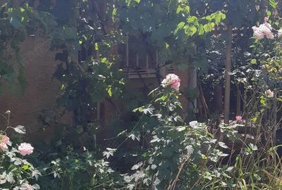 Casă cu 3 camere în Suplacu de Barcău - 2