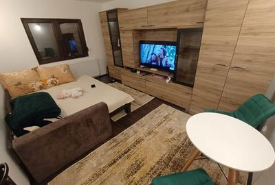 Garsonieră decomandată în Central - 1