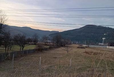 Teren de 1500 mp, în Pângărați - 6