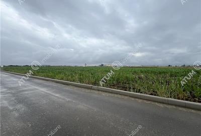 Teren intravilat de 9000 mp cu PUZ situat in zona Industriala Vest - 8