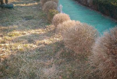 Casă cu Teren 2500 Mp în Secăria - 6