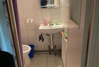 Garsonieră în Noua - 3