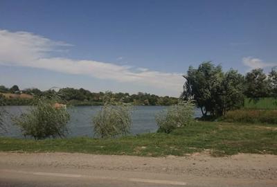 Teren agricol extravilan de 5 mp, în Ileana - 1