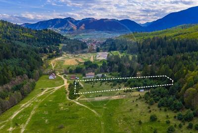 Teren Construcții intravilan de 10000 mp, în Brebina - 5