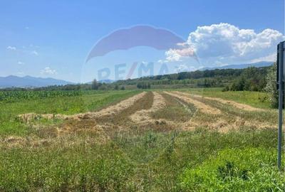 Teren de 14800 mp, în Șelimbăr