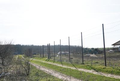 Teren în Găneasa - 3