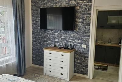 Garsonieră decomandată în Noua - 3