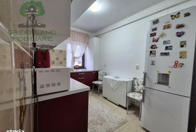 Apartament cu 2 camere decomandat în Podu Roș - 9