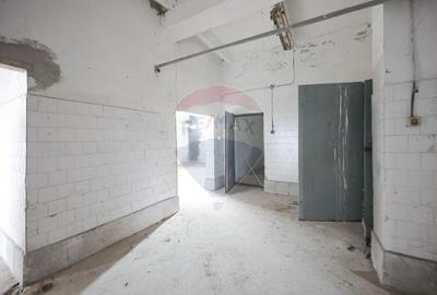 Spațiu industrial, de 800 mp, în Tilecuș - 6