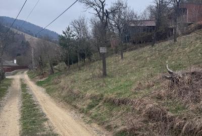 Teren agricol intravilan de 6000 mp, în Bistrița