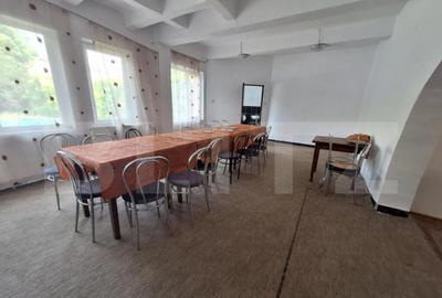 Proprietate de cazare, spatii comerciale, Lugoj Proprietate de cazare, spatii comerciale, Lugoj - 2