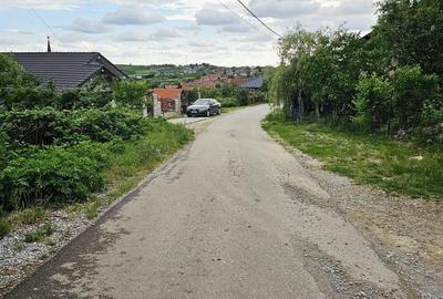 Teren Construcții intravilan de 780 mp, în Săldăbagiu de Munte - 1