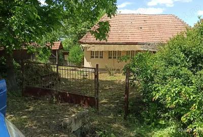 Teren de 2400 mp, în Dobrin - 3