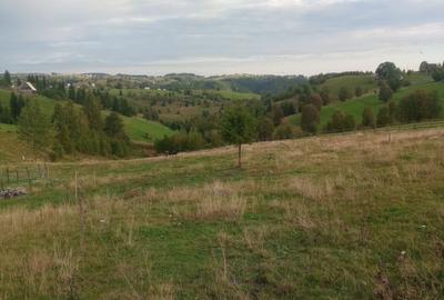 Spațiu comercial, în Măguri