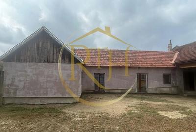 Casă cu 6 camere cu Teren 2160 Mp în Balinț - 2