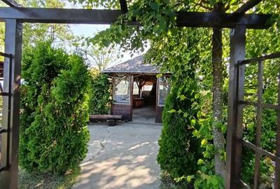 Casă cu 2 camere cu Teren 11770 Mp în Fălticeni - 9