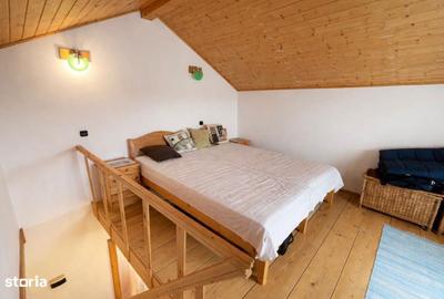 Casă cu 2 camere în Săldăbagiu de Munte - 3