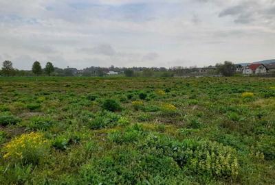 Teren de 5900 mp, în Mitocu Dragomirnei - 1