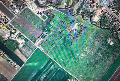 Teren de vanzare 12.700 mp Domnesti Curtea Domneasca Teren de vanzare 12.700 mp Domnesti Curtea Domneasca - 3