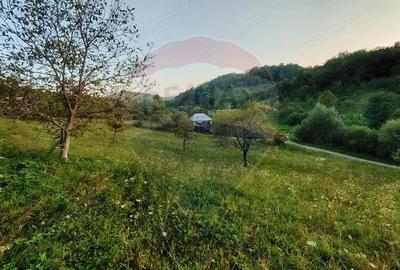 EXCLUSIVITATE! Teren 2339 mp in Barsana - Comision 0%! - 3