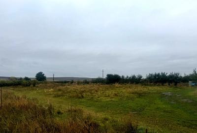 Vanzare 10.000 mp teren Liteni Suceava- la strada -potrivit proiect fonduri - 14