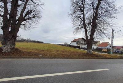 Teren de 7000 mp, în Agapia