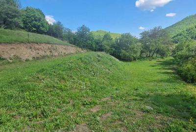 Spațiu comercial, în Poiana Galdei - 4