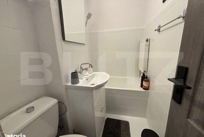 Apartament cu 2 camere semidecomandat în Alexandru cel Bun