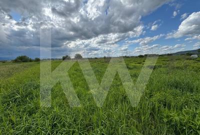 Teren extravilan arabil de vanzare – Bungard, Șelimbar - 2