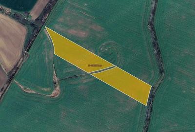 2,88 ha teren extravilan agricol - 1