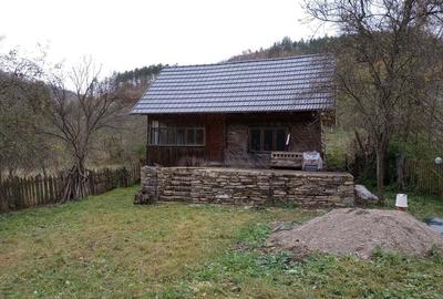 Casuta la munte - 10