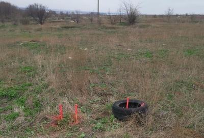 Teren Construcții intravilan de 306 mp, în Palazu Mare - 4